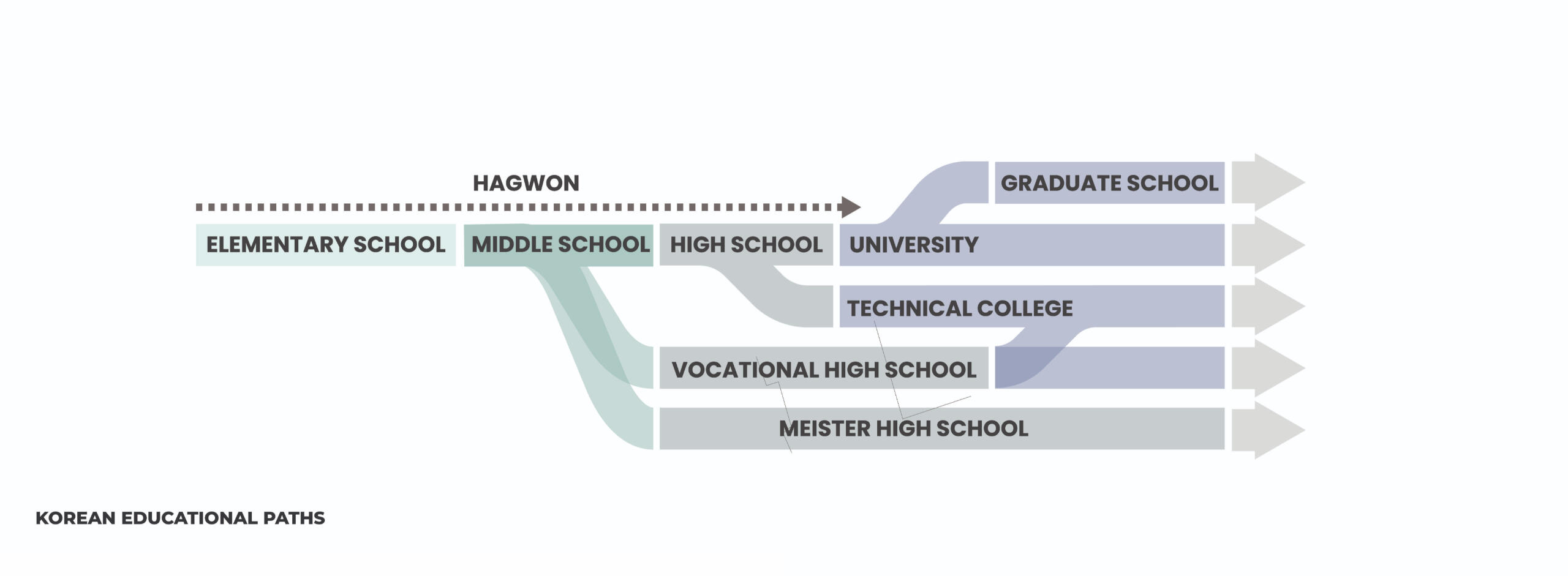 Current educational paths in South Korea.